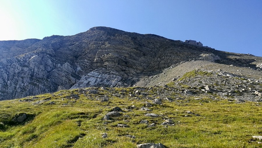 Die "Nordwand" des Widderfeld Stock