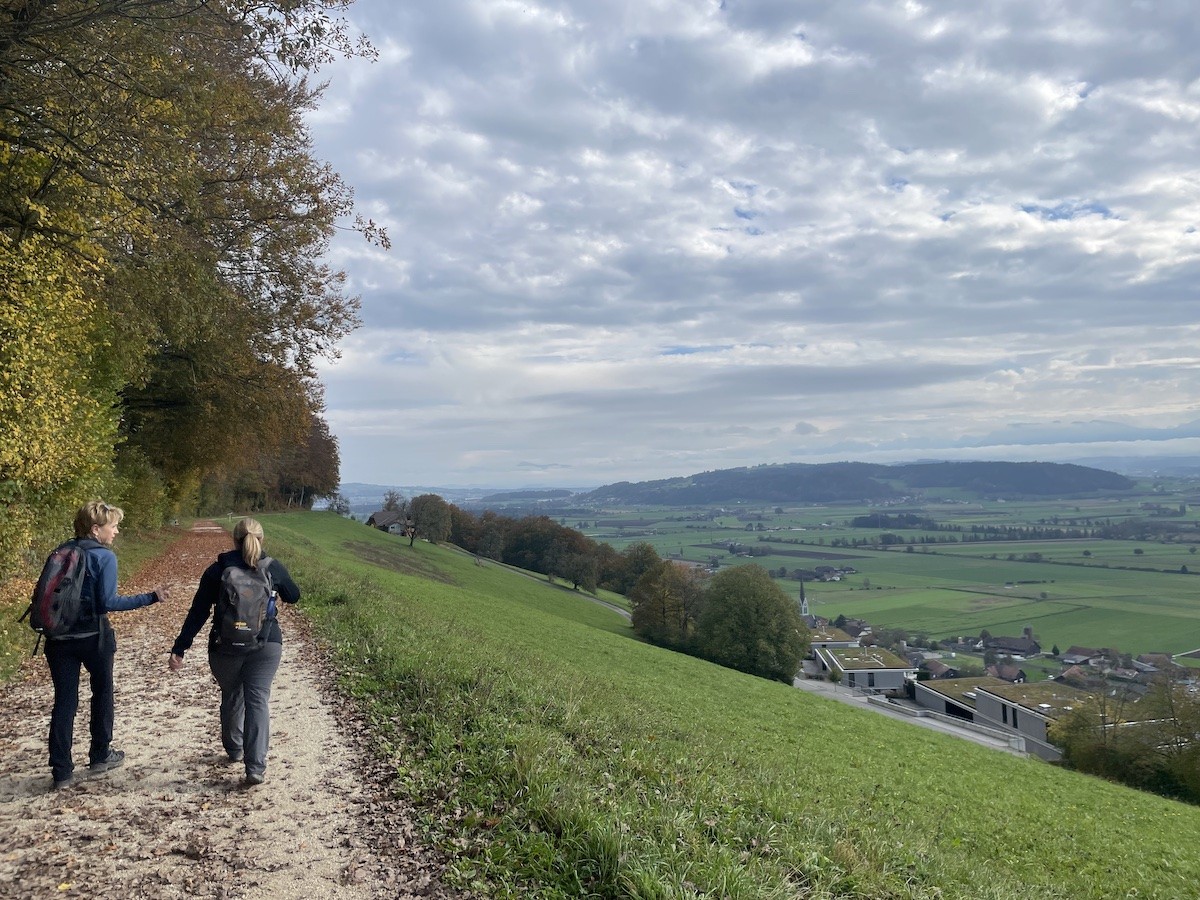 Blick vom Egolzwilerberg über die Region.