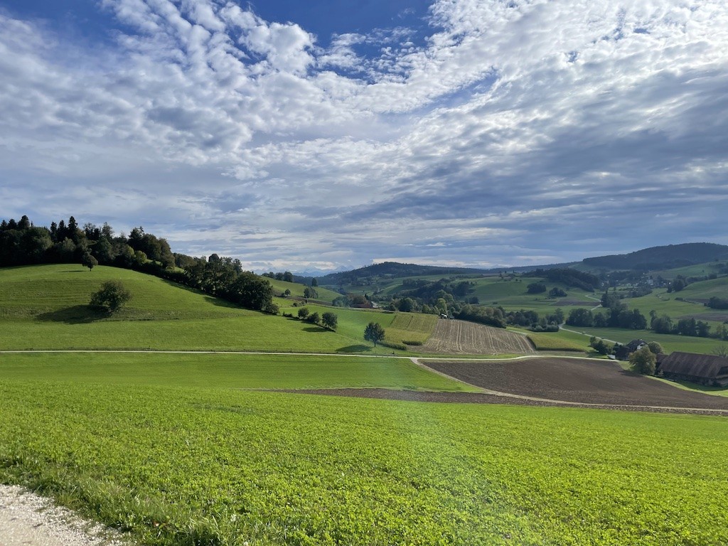 St. Urban Weitblick
