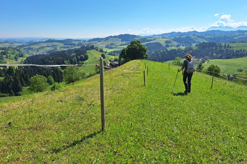Abstieg vom Ämmehorn Richtung Hergiswil bei Willisau