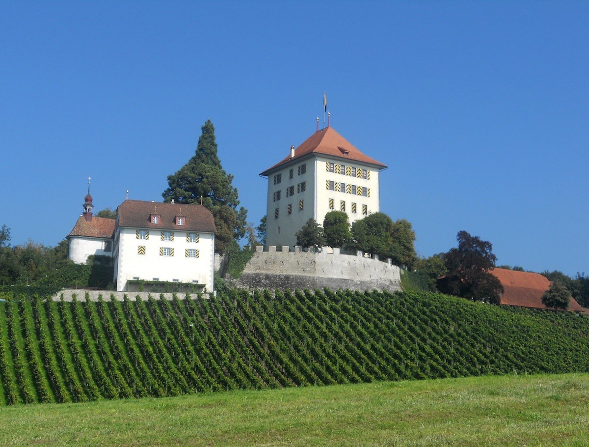 Schloss Heidegg