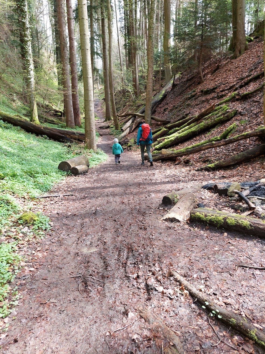 Durch die Wolfsschlucht am Sonnenberg
