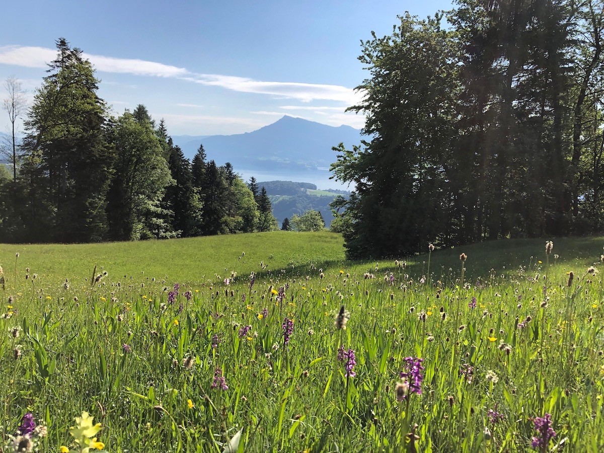 Schönenboden Richtung Hort