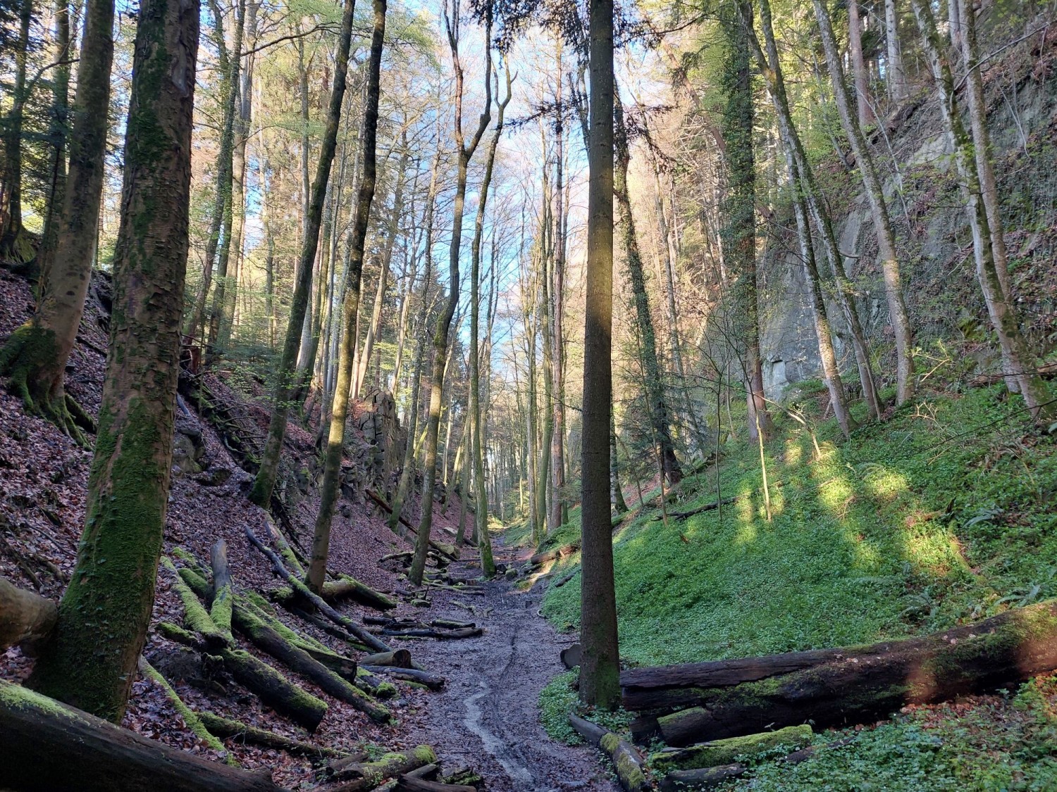 Wolfschlucht