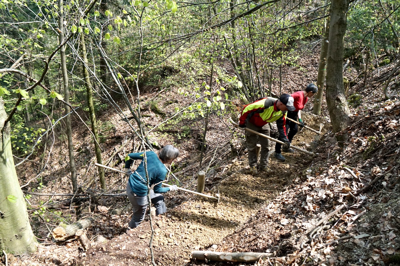 Adrian Wüest (Mitte), Projektleiter des Bautrupps Luzerner Wanderwege bei der Arbeit im Steinibachwald.