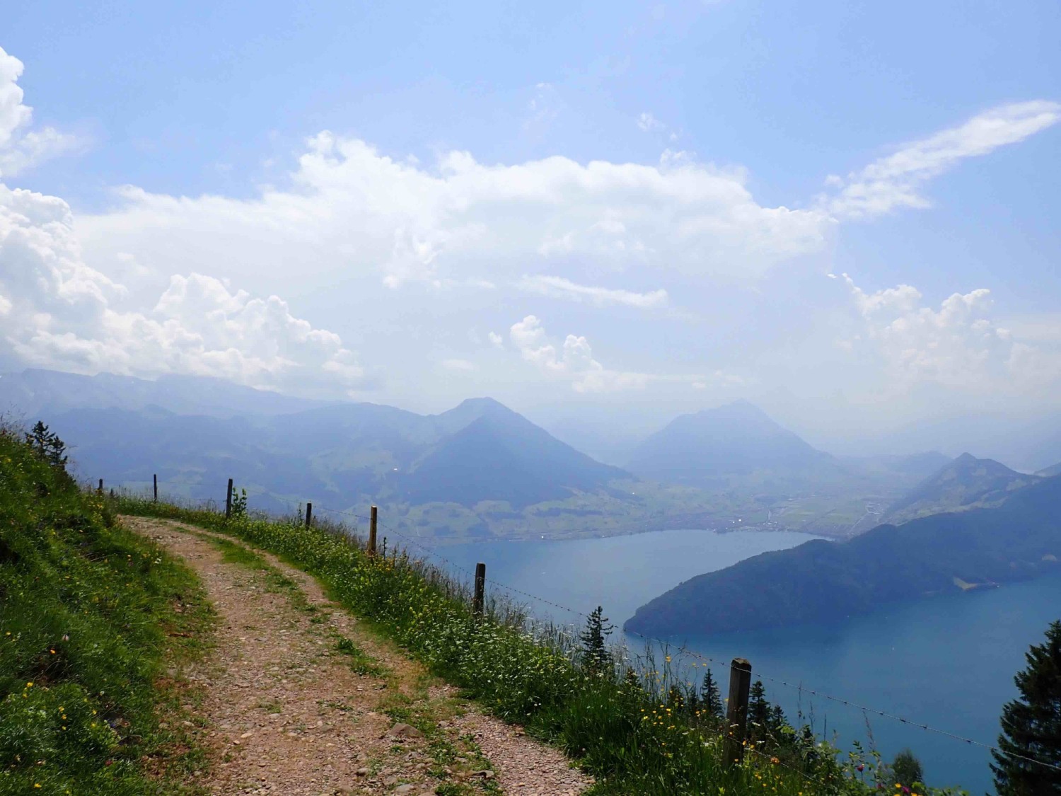 Wandern hoch über dem Vierwaldstättersee