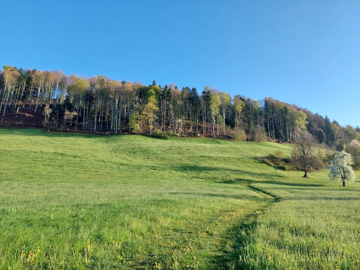 Familienwanderung Sonnenberg