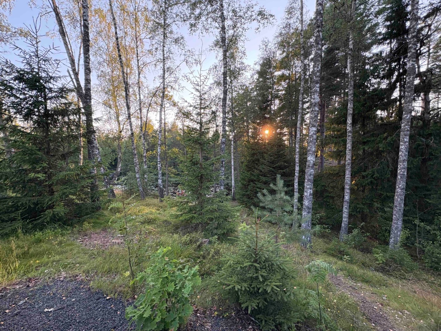 IMG_0967_Wandern_Schweden_web