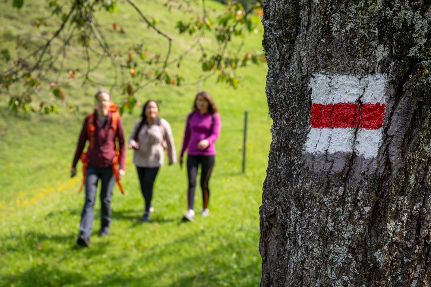 LU_Wanderwege_Markierungen_etc_ABF_9130