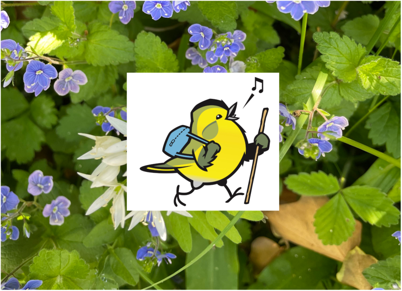 Wandervogel_Kräuter
