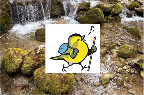 Wandervogel_Bach_web