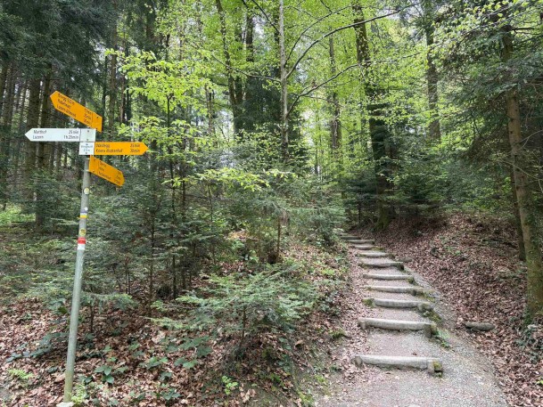 IMG_3631_Bireggwald