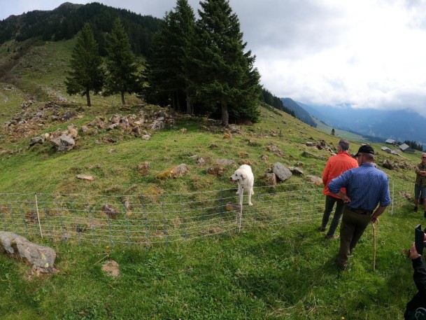 Bba7f613-7785-4459-b8f6-17bfe3d4c759