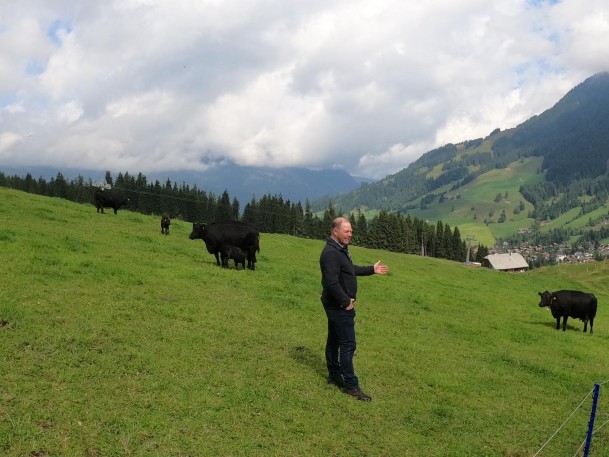 82b2707a-c409-4fdc-828d-4416fe22de8d