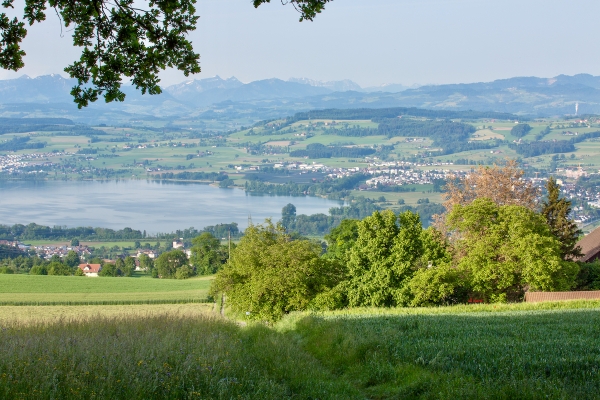 Freier Blick auf See und Berge
