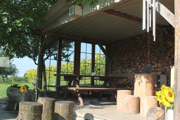 Burgruine mit Aussicht