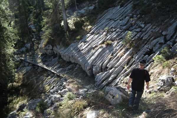 Neue Perspektiven im Mariental
