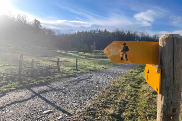 Die schönsten Seiten von Luzern