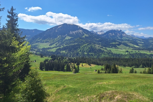 Ochs, Hüener, Sattel und Egg