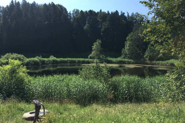 Durch den Meggerwald