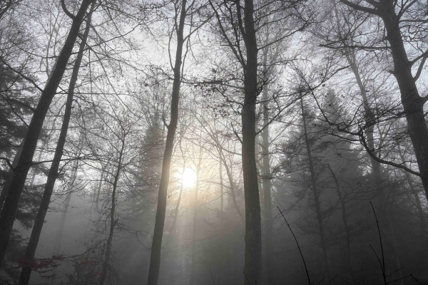 Die Berge vor Augen, die Seen zu Füssen