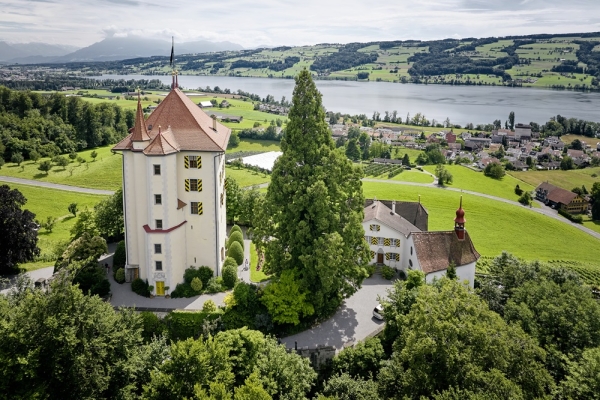 Schloss und See