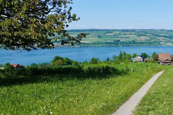 Kraftorte am Nottelerberg