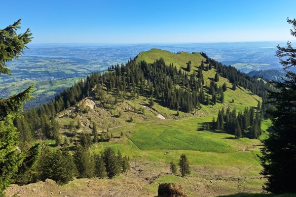 Ochs, Hüener, Sattel und Egg