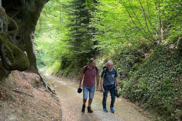 Entschleunigen vor der Haustüre: Von Inwil nach Eschenbach