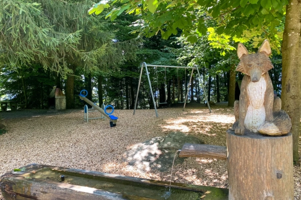 Tanzender Fuchs am Egolzwilerberg