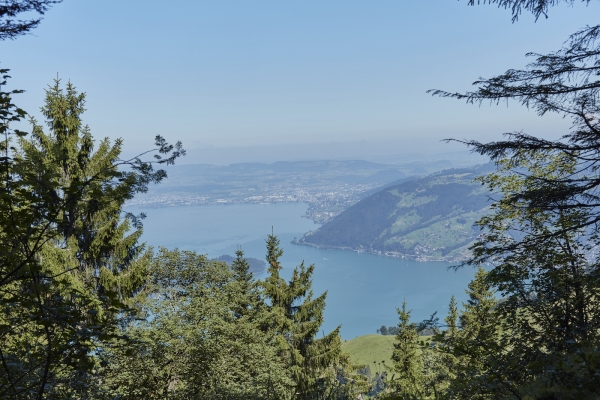 Rigi - Seebodenalp «Grüezi Weg»
