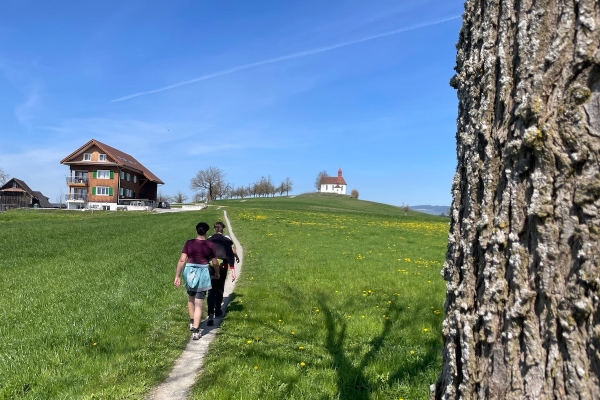 Von Eschenbach zum Baldeggersee