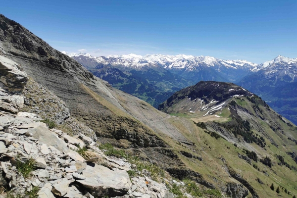 Grenzenlos schöne Aussicht