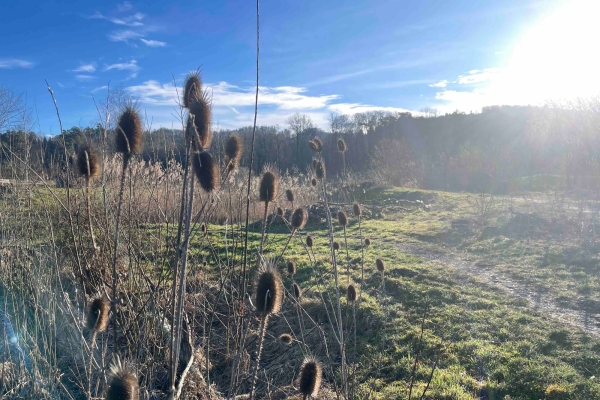 Luzern von seinen schönsten Seiten
