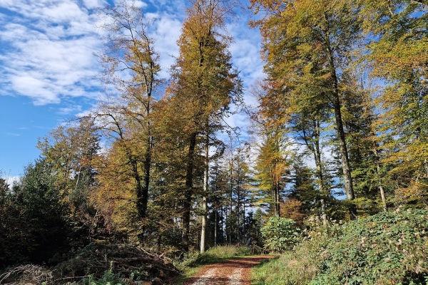 Rundwanderung Santenberg