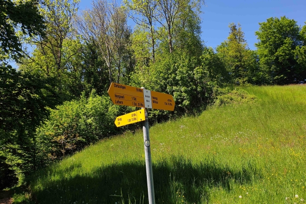 Rundwanderung Hergiswil b. Willisau
