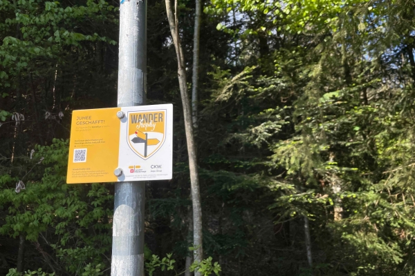Roteflue: Weitblick und Natur in Stadtnähe