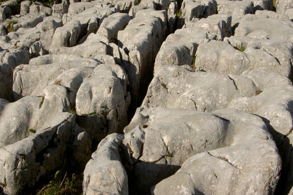 Neue Perspektiven im Mariental