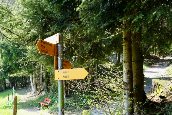 Zum neuen Weg im Steinibachwald
