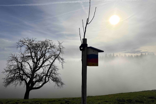 Die Berge vor Augen, die Seen zu Füssen