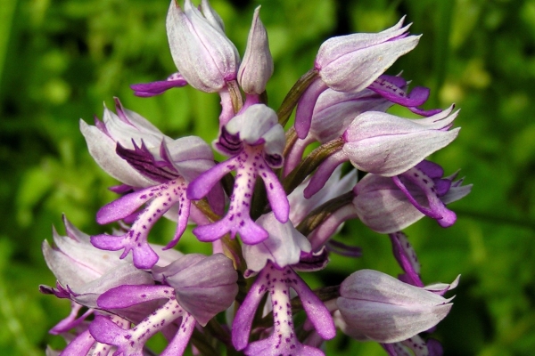 Seesicht und unbekanntes Tobel