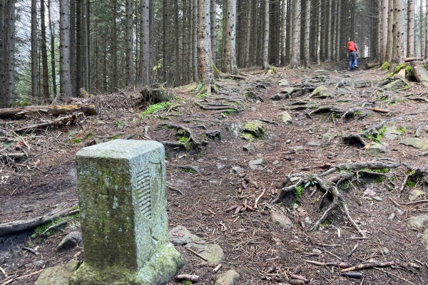 Roteflue: Weitblick und Natur in Stadtnähe