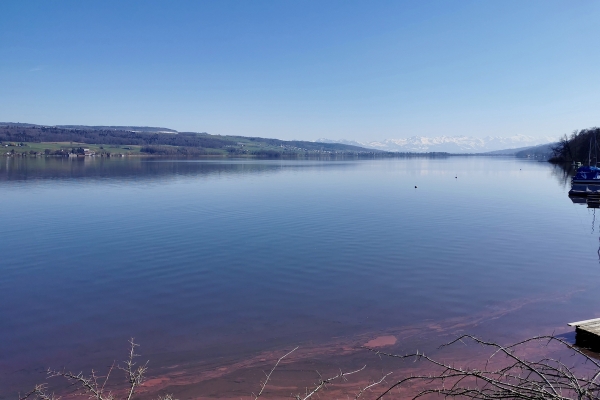 Seeuferweg Hallwilersee