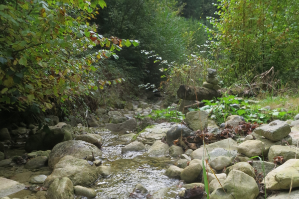 Seesicht und unbekanntes Tobel