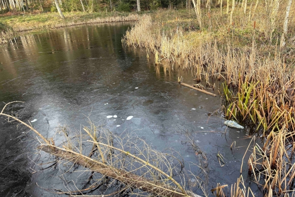 Die Berge vor Augen, die Seen zu Füssen