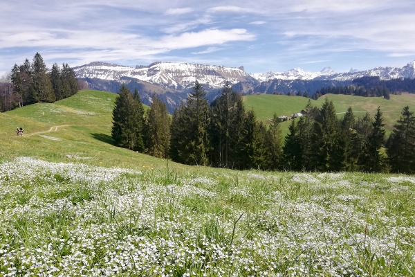 Aussichtsreiche Hügellandschaft mit Historie