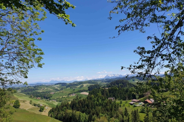 Rundwanderung Hergiswil b. Willisau