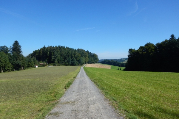 Das Doppelkreuz auf dem Buttenberg