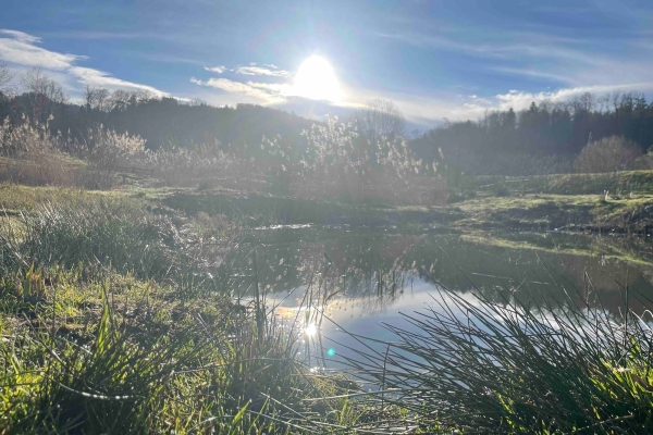 Die schönsten Seiten von Luzern