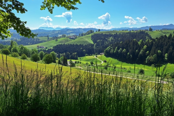 Gratwandern am Napf